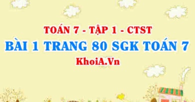 Bài 1 trang 80 SGK Toán 7 tập 1 Chân trời sáng tạo
